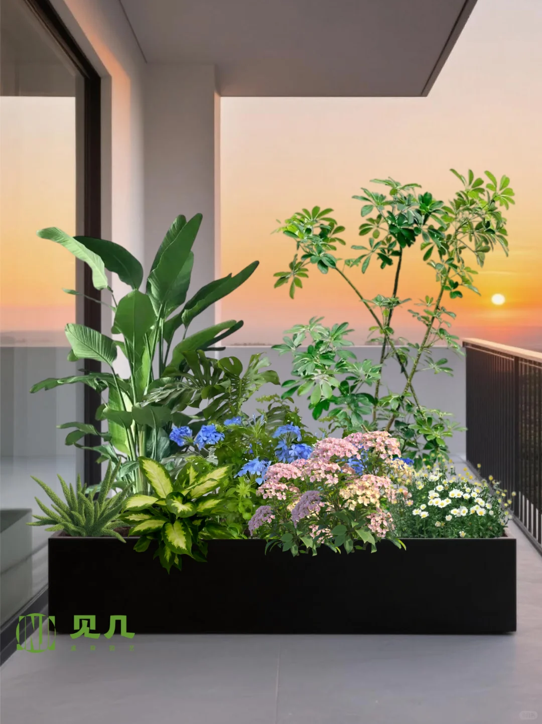 我的花箱被邻居夸爆?四季有花·低维护