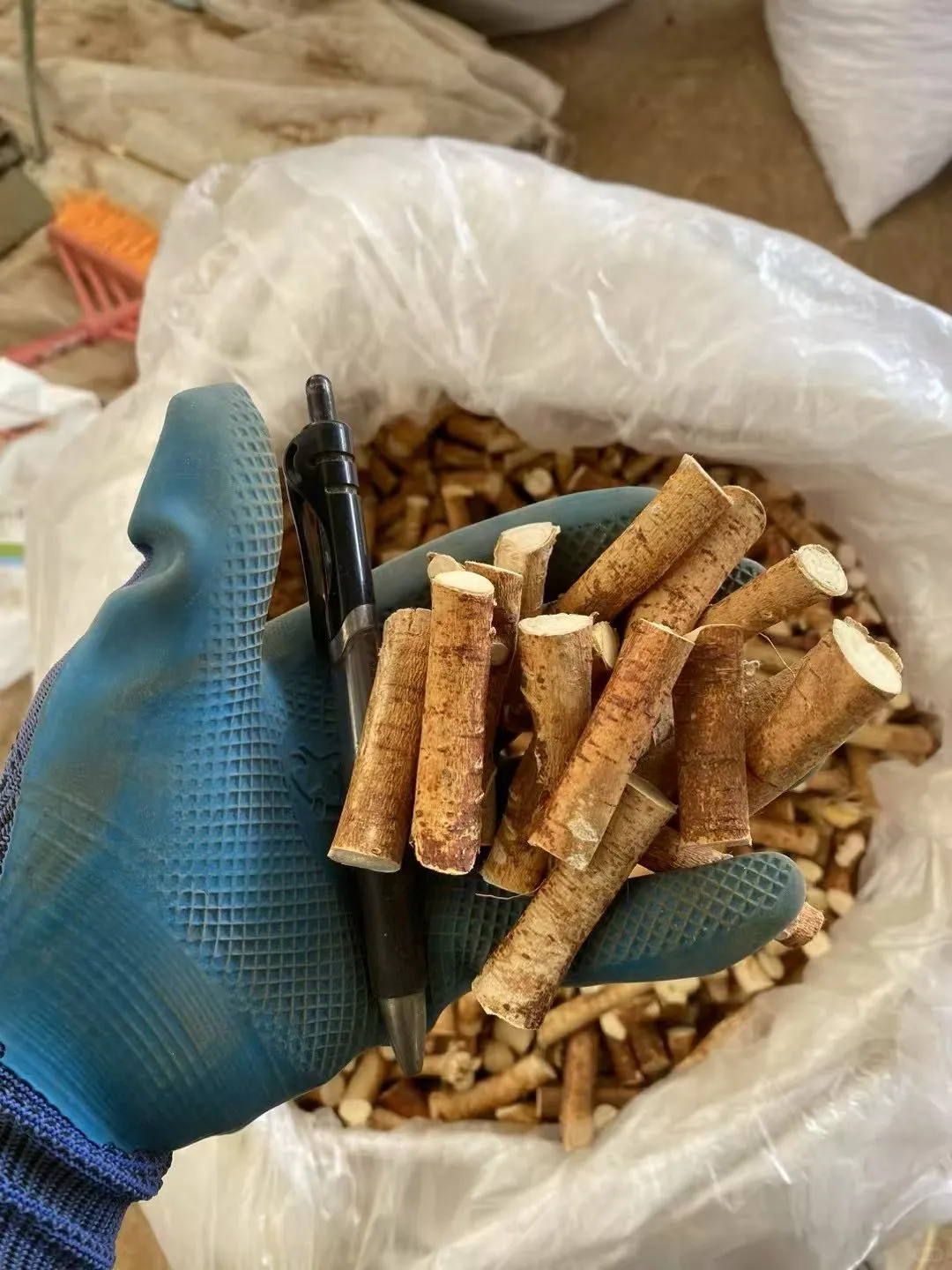 五指毛桃加工现场