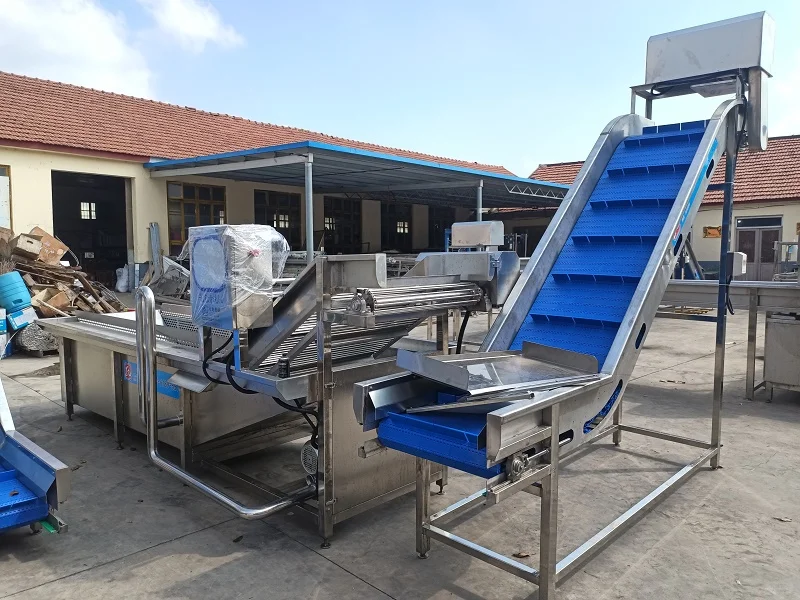 千万不能错过！这家竹笋加工设备服务商性价