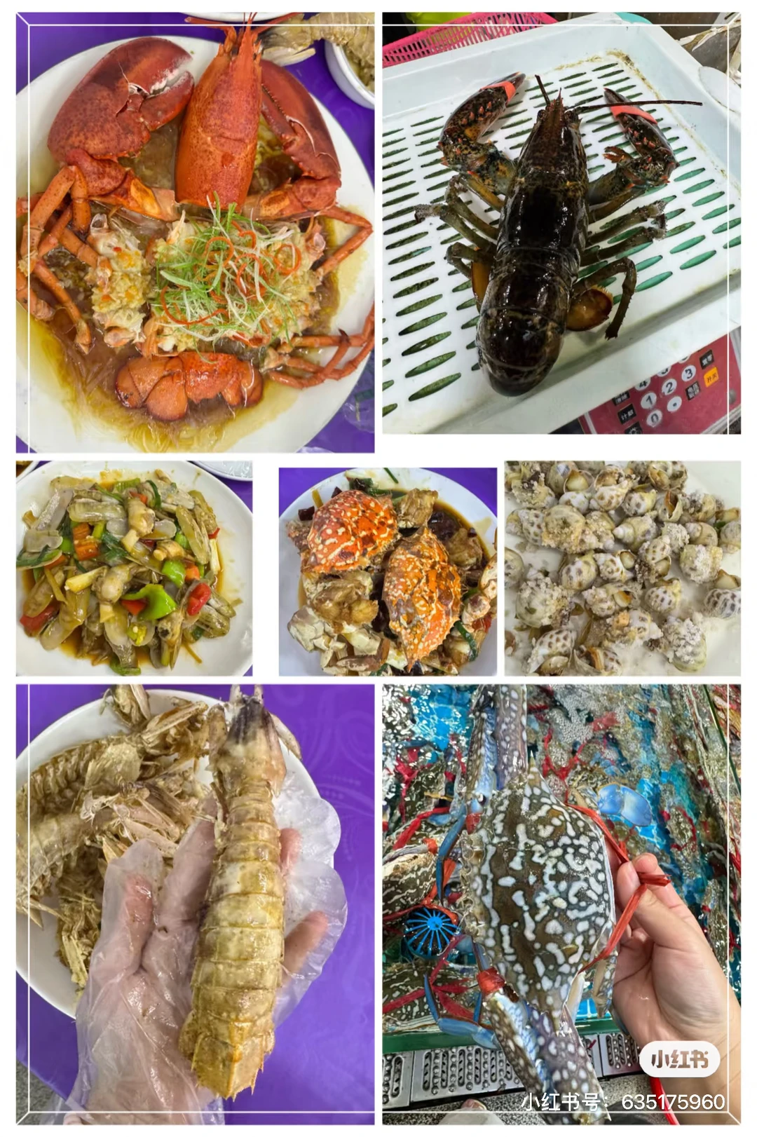 北海海鲜市场攻略来了‼️ 12.1海鲜实时报价