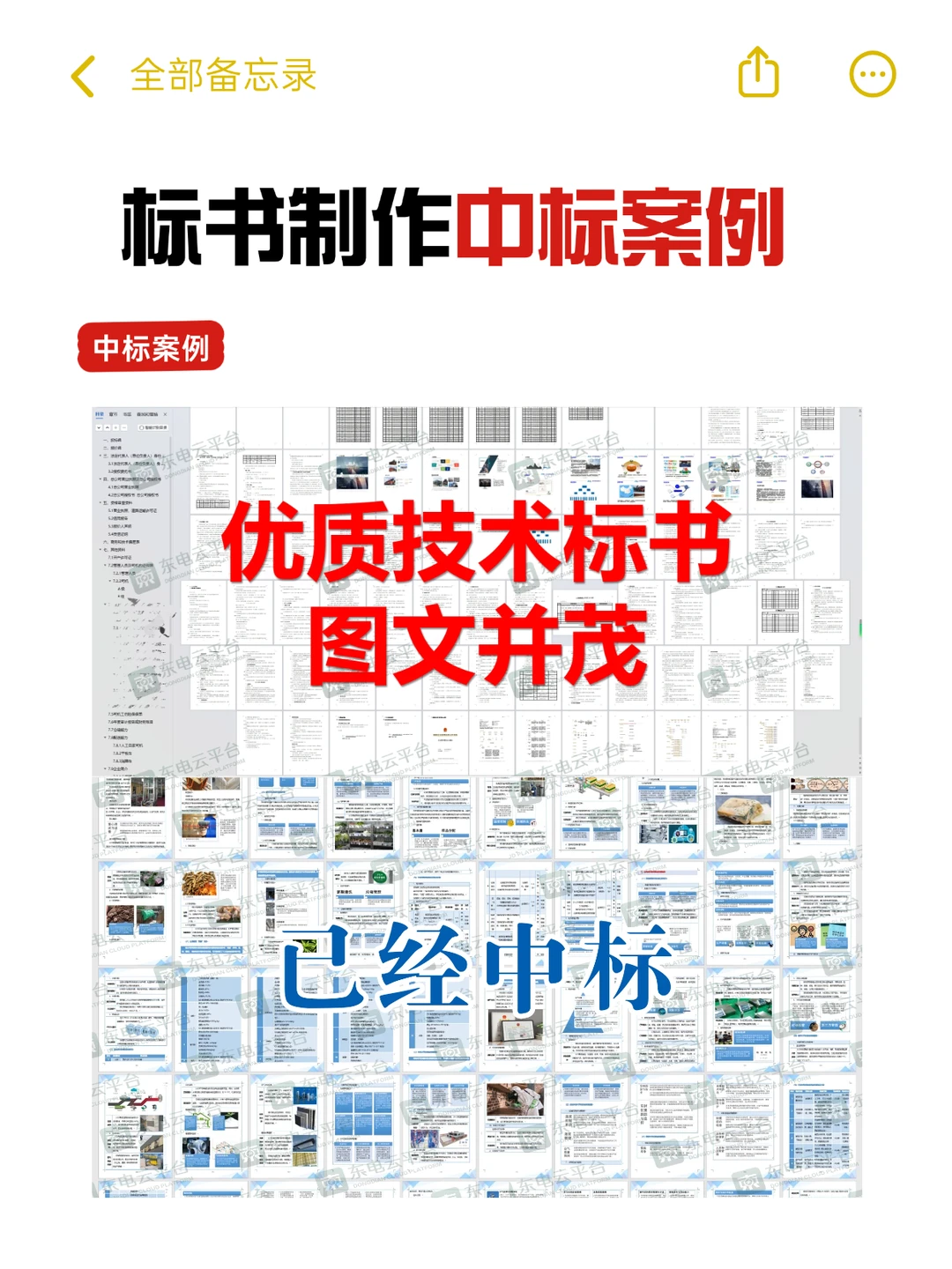 专业标书制作团队，精准解读+高效成标 ❗️