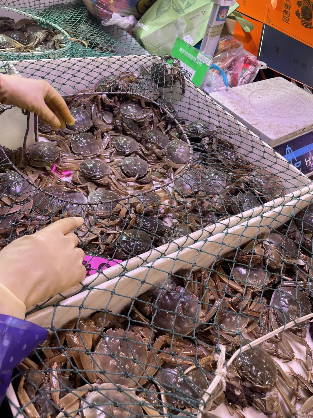 11月在苏州勇闯菜市场吃大闸蟹