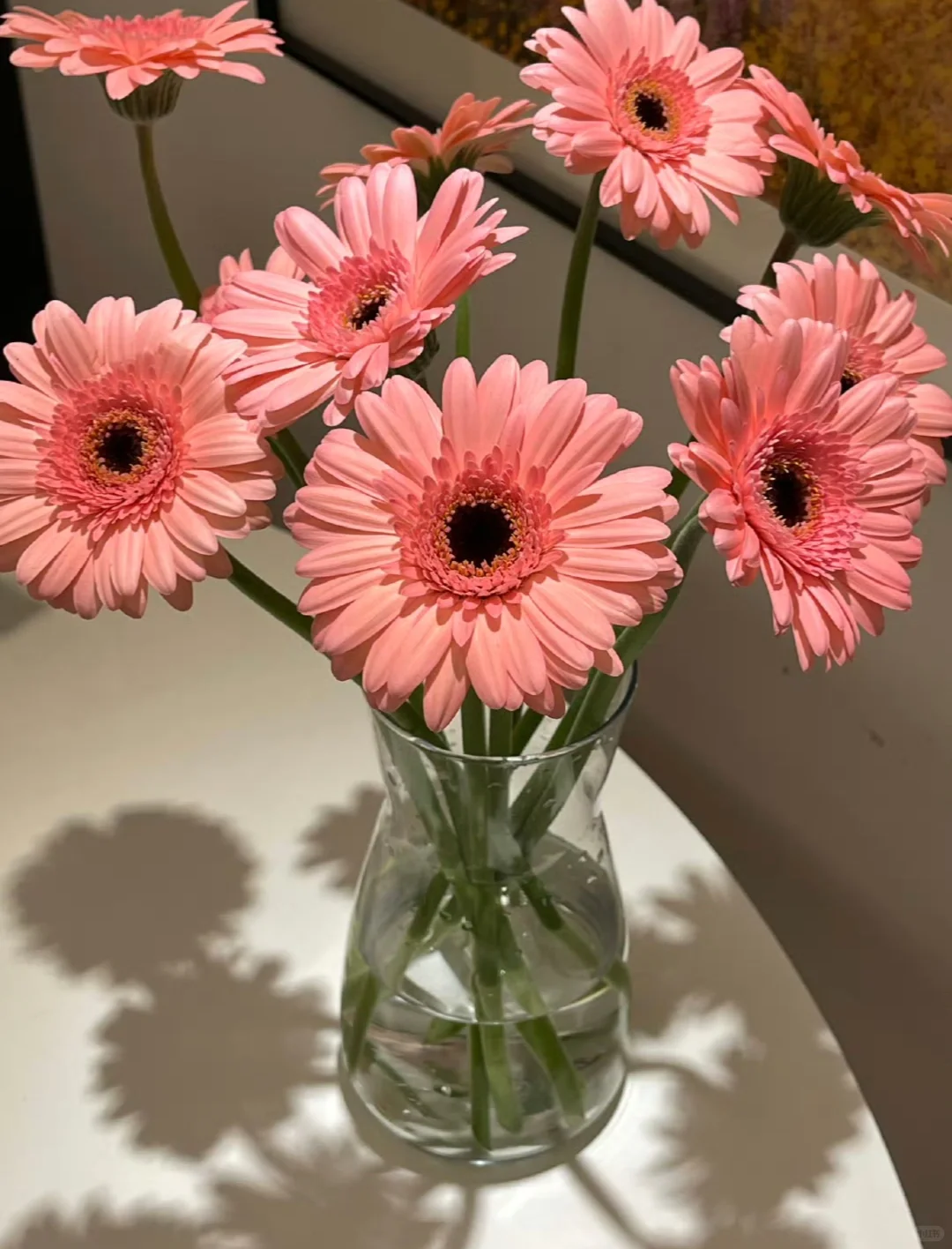 花花girl，太美了吧！