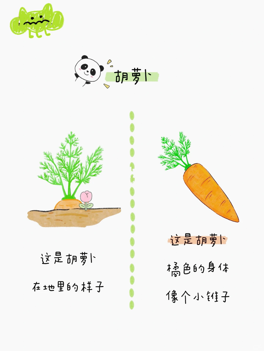 给小朋友的蔬菜图鉴