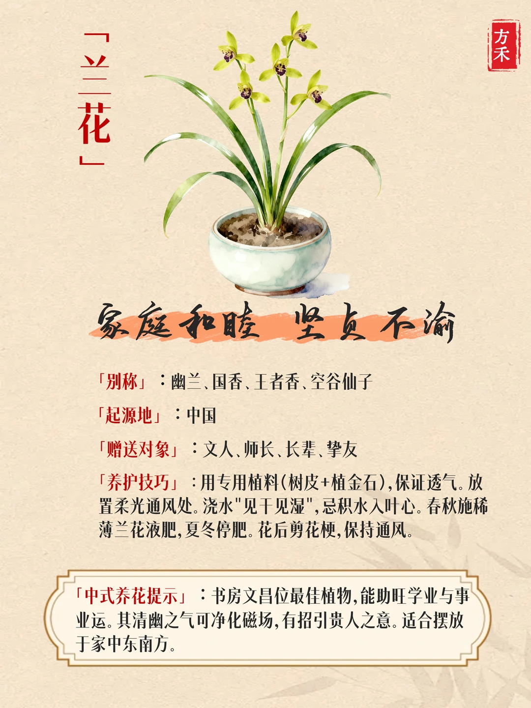 9种花卉藏玄机? 家宅兴旺好运来