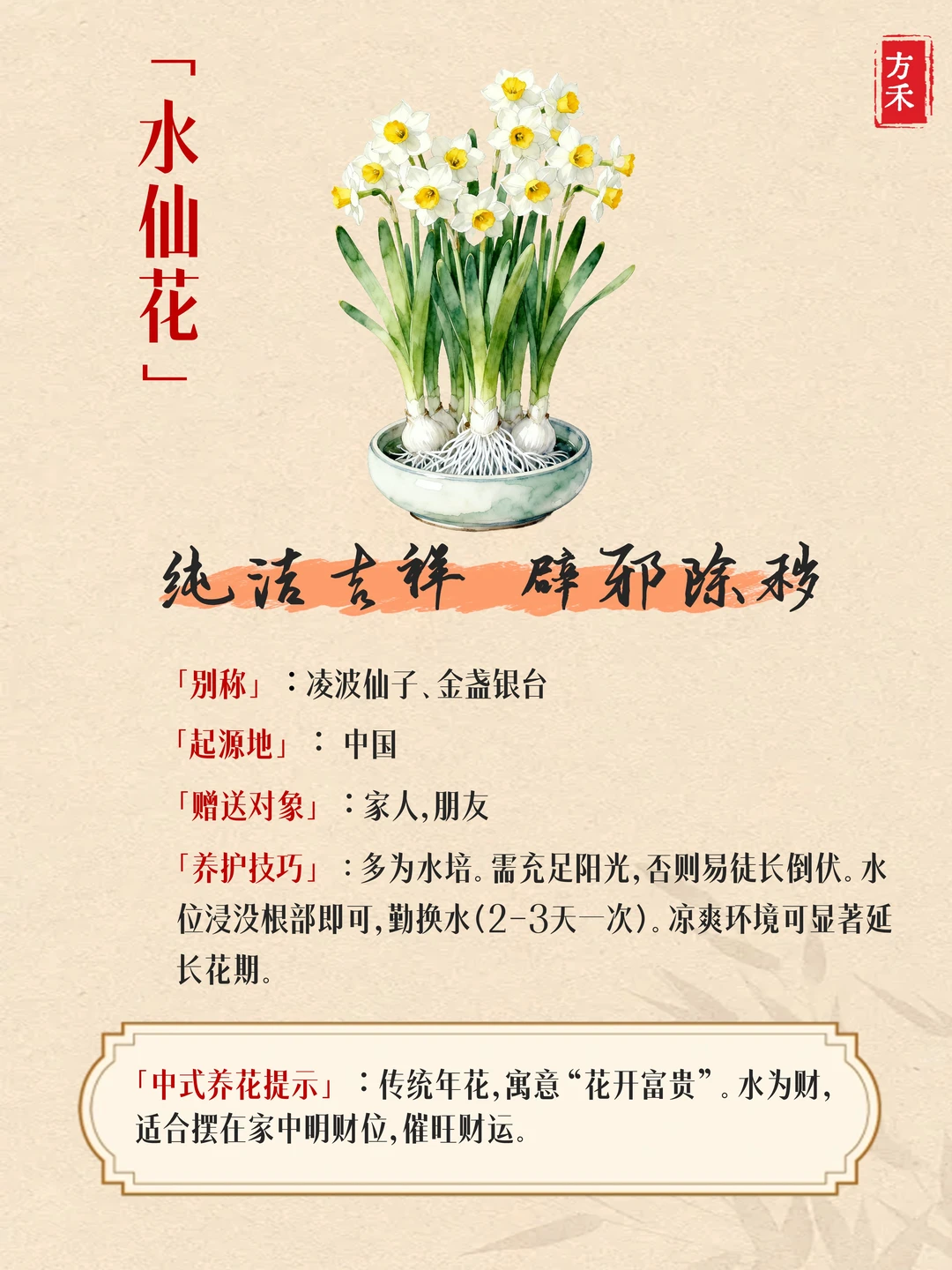 9种花卉藏玄机? 家宅兴旺好运来