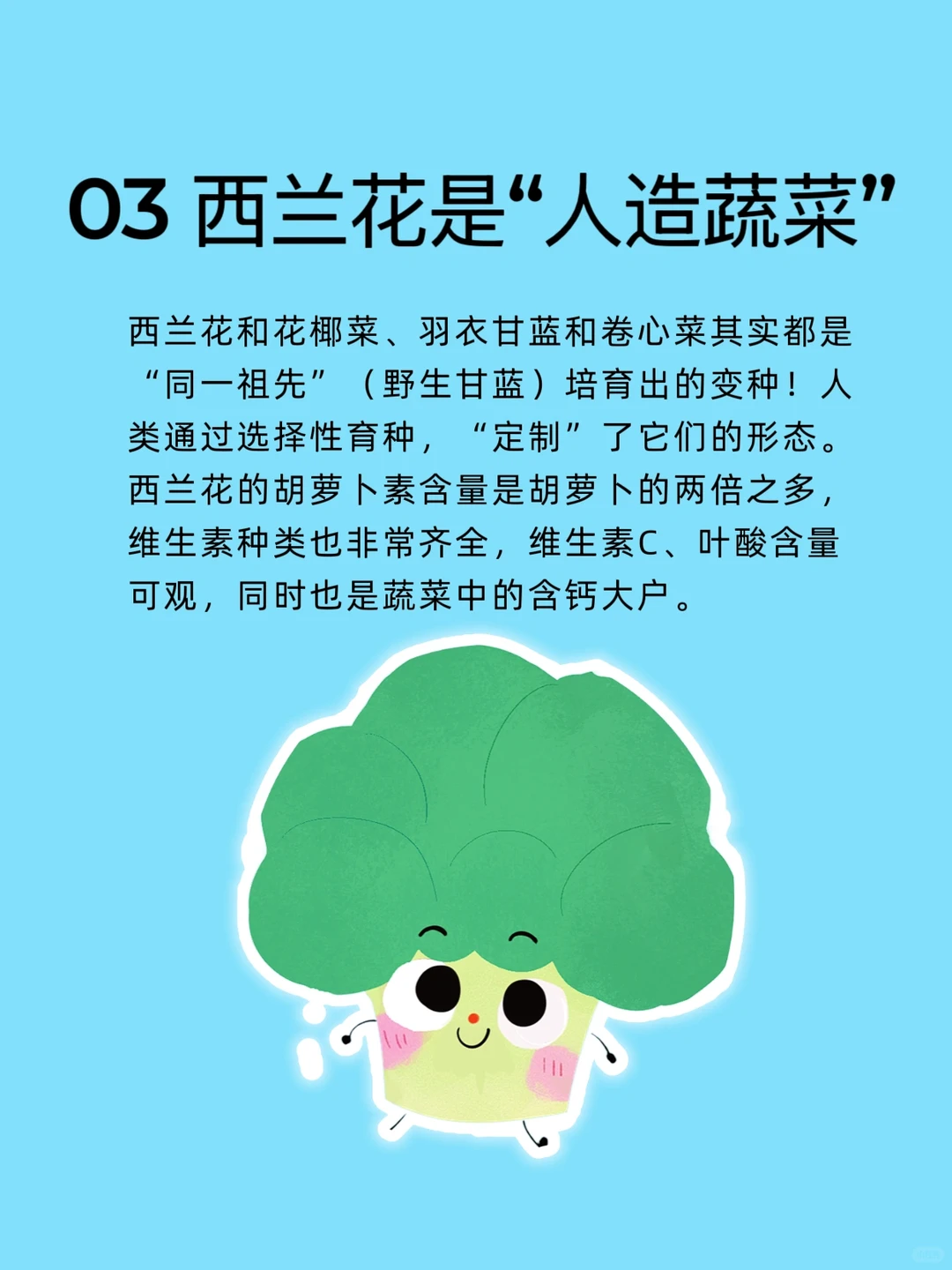 ?超有趣的蔬菜冷知识?涨知识啦