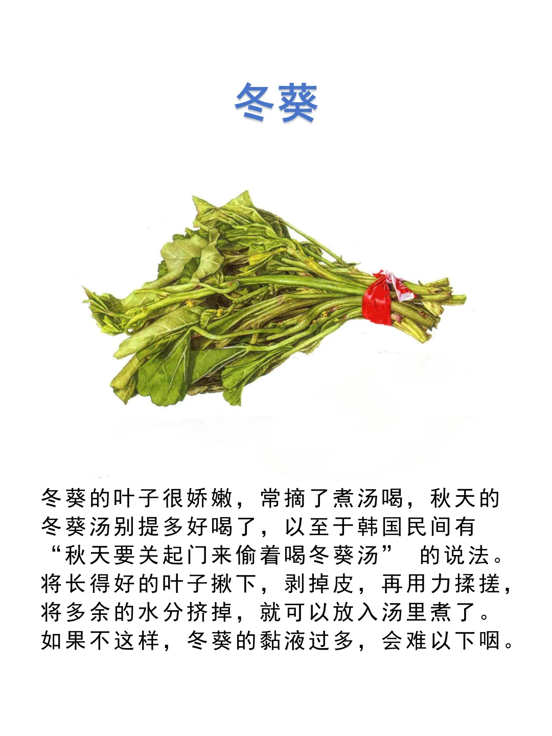 食用叶和茎的蔬菜