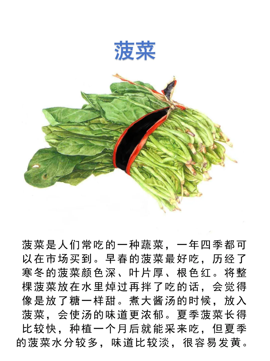 食用叶和茎的蔬菜