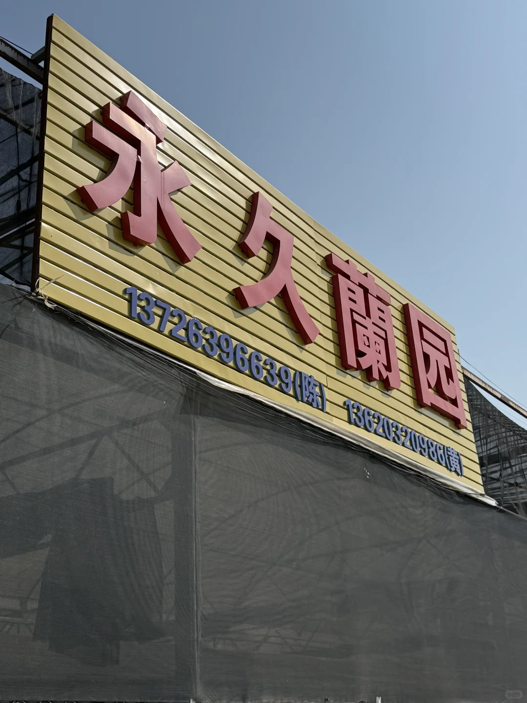 连盆十株230 ?顺德陈村蝴蝶兰下车！附地址~