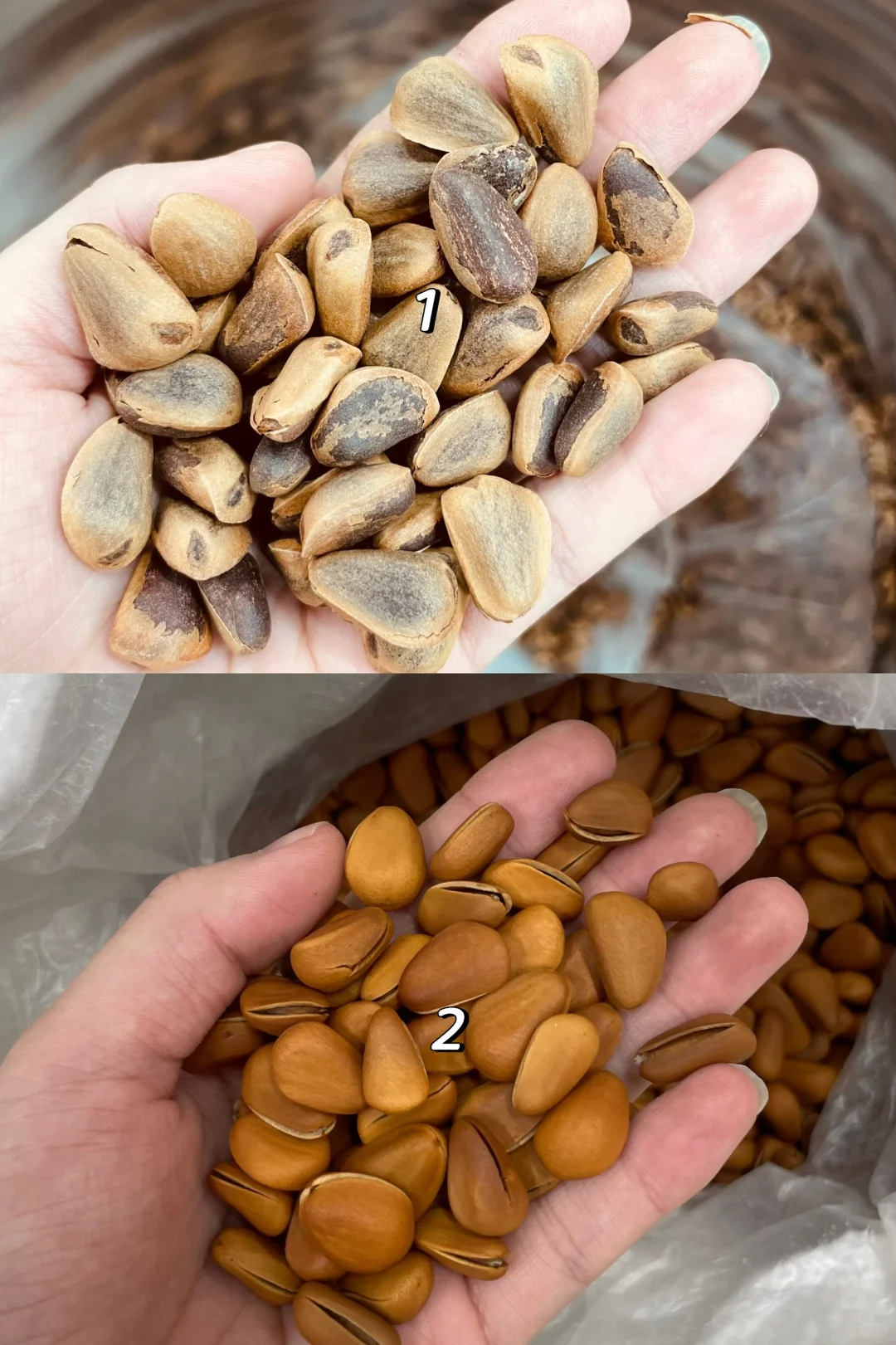 买长白山特产被坑