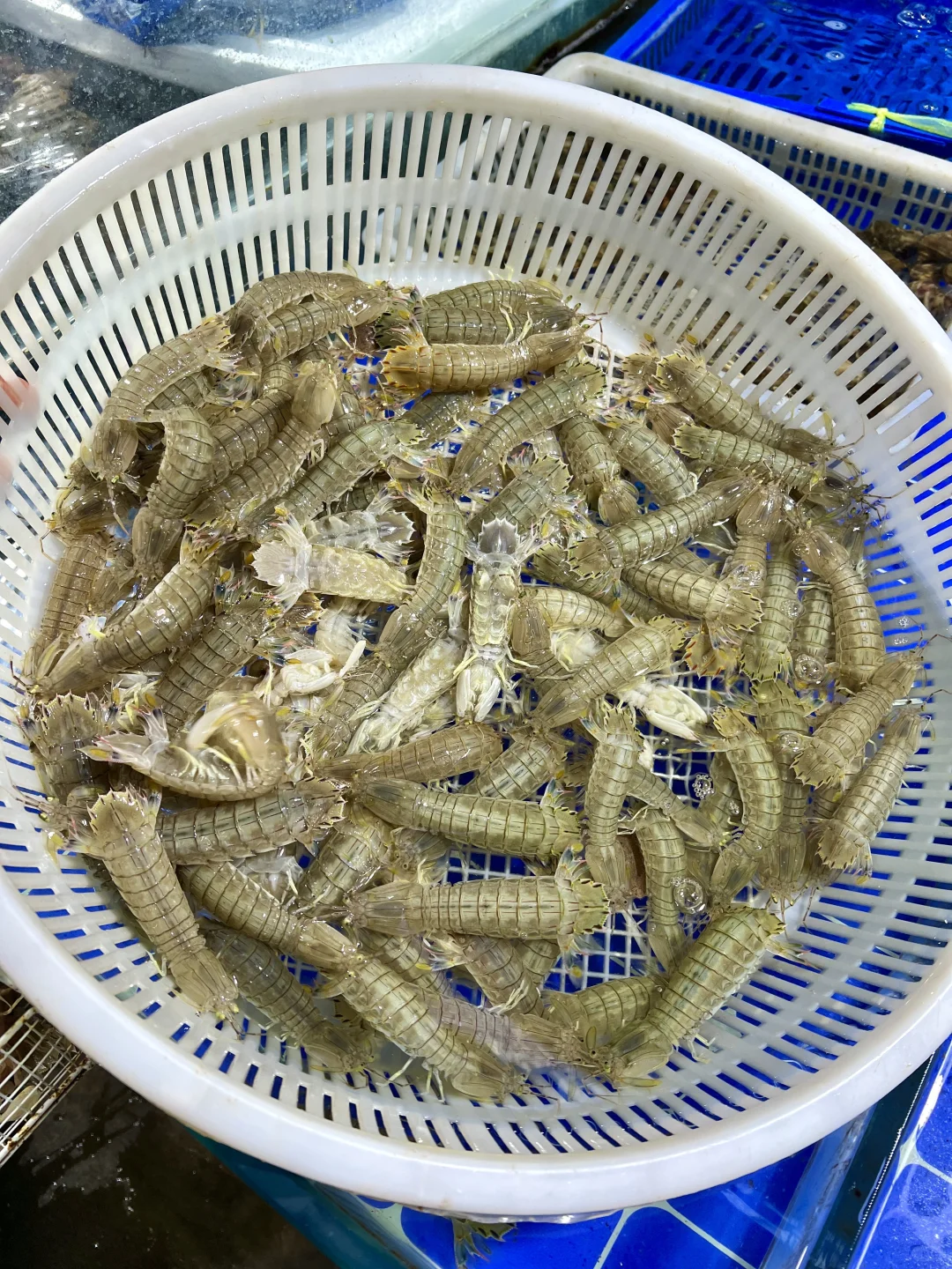 下高铁第一站！直奔这个宝藏市场！！！