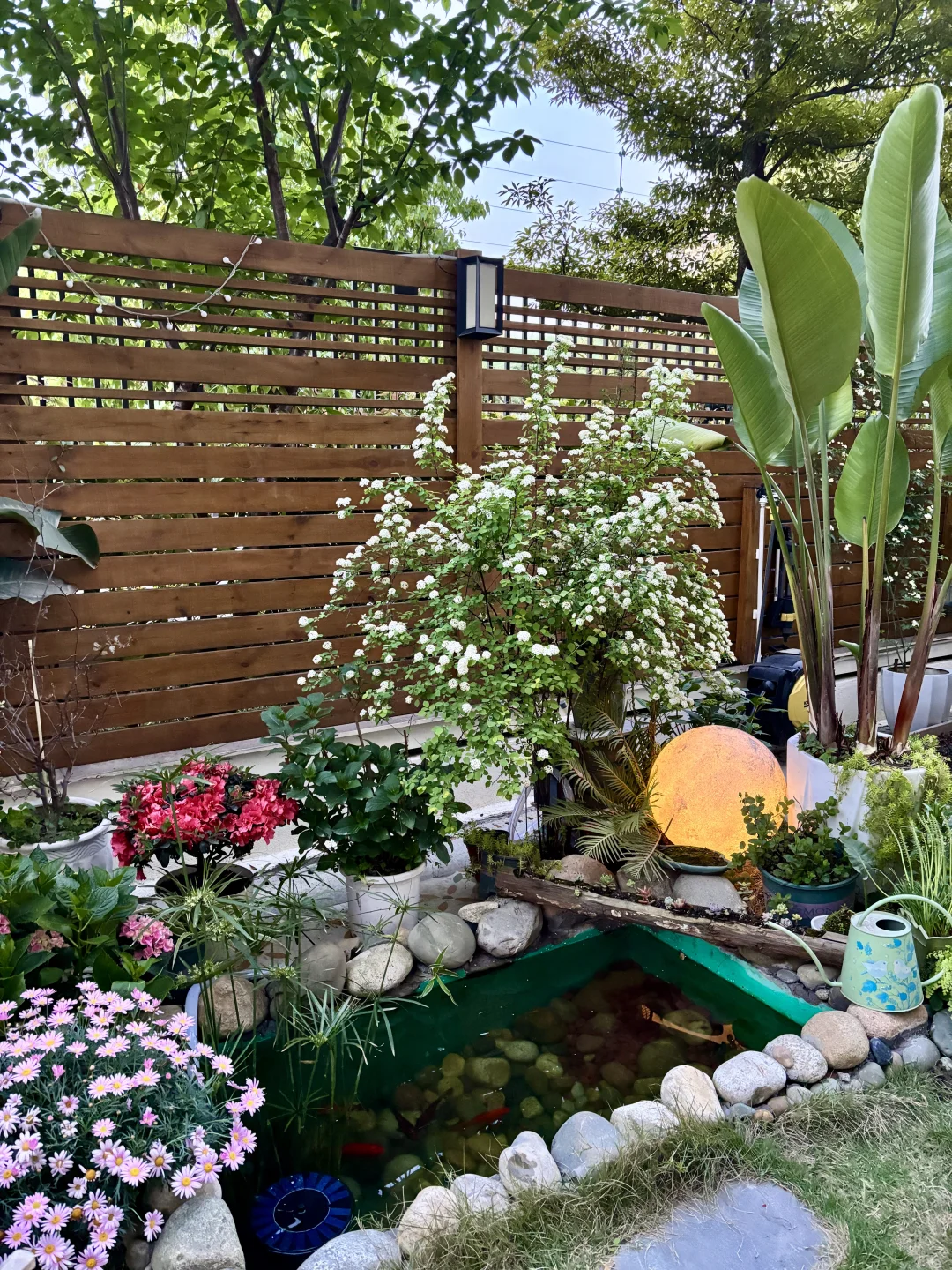 讲真，有这样的院子我能呆1年不出门！?