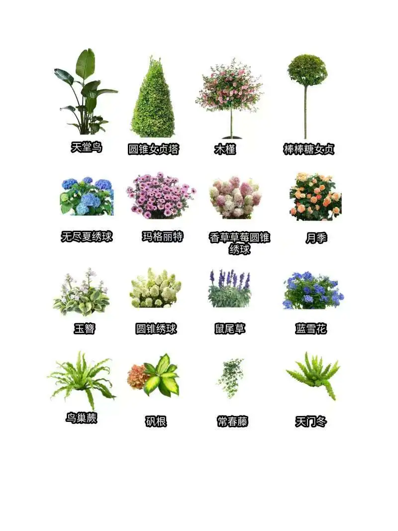 花小钱办大事，这组阳台花箱可还行？