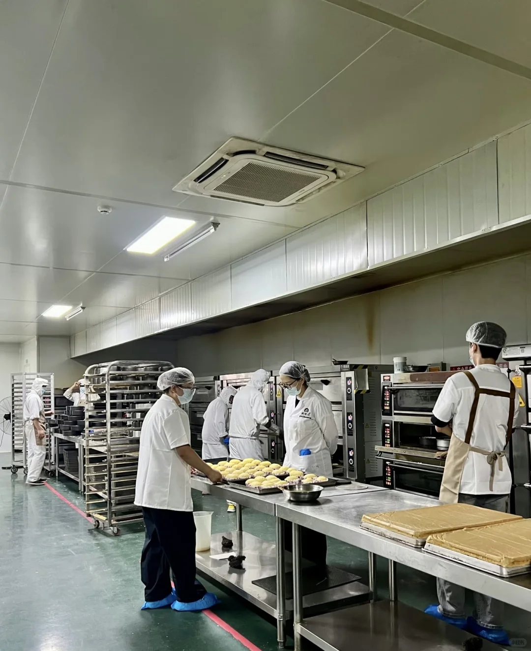 一周只上四天班的正式工食品厂～