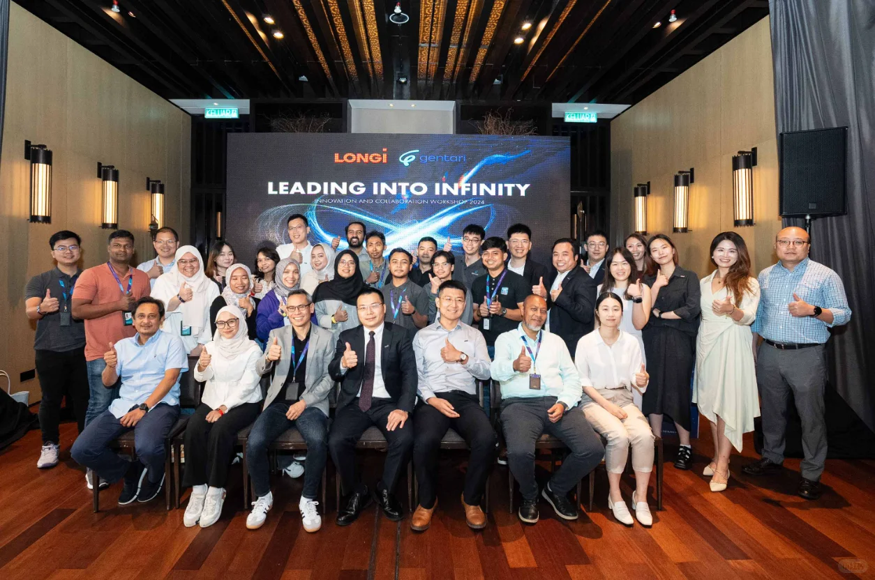 中国光伏企业出海马来，请看这篇