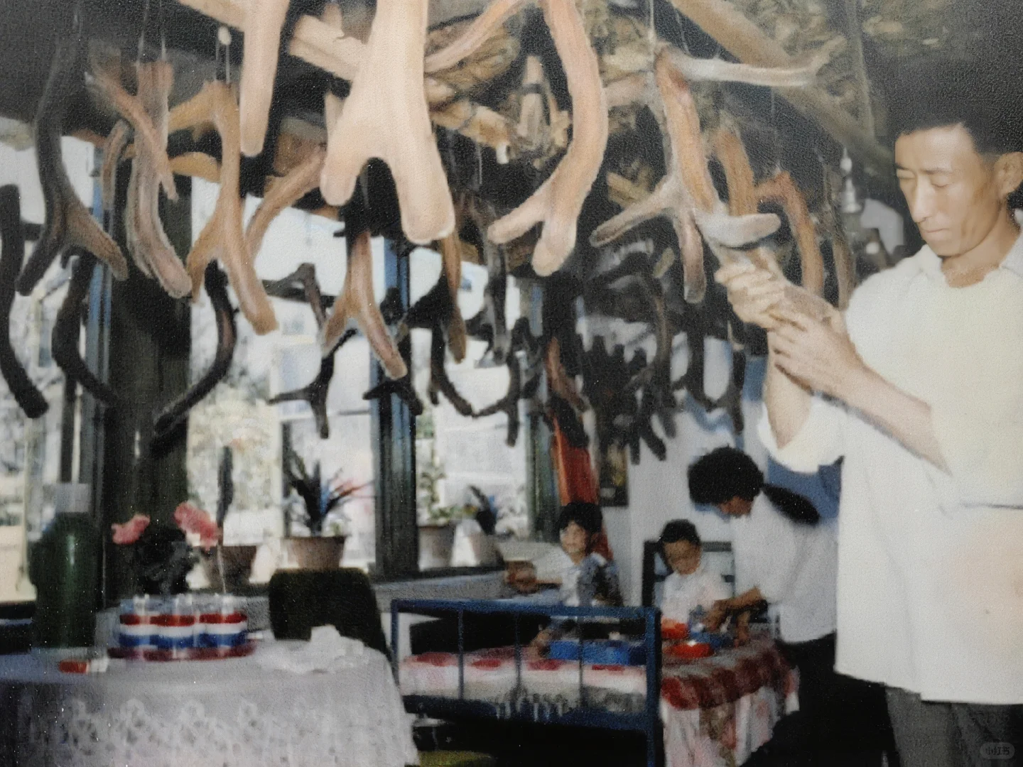 五代耕耘，成就一项非遗--刘氏鹿茸炮制技艺