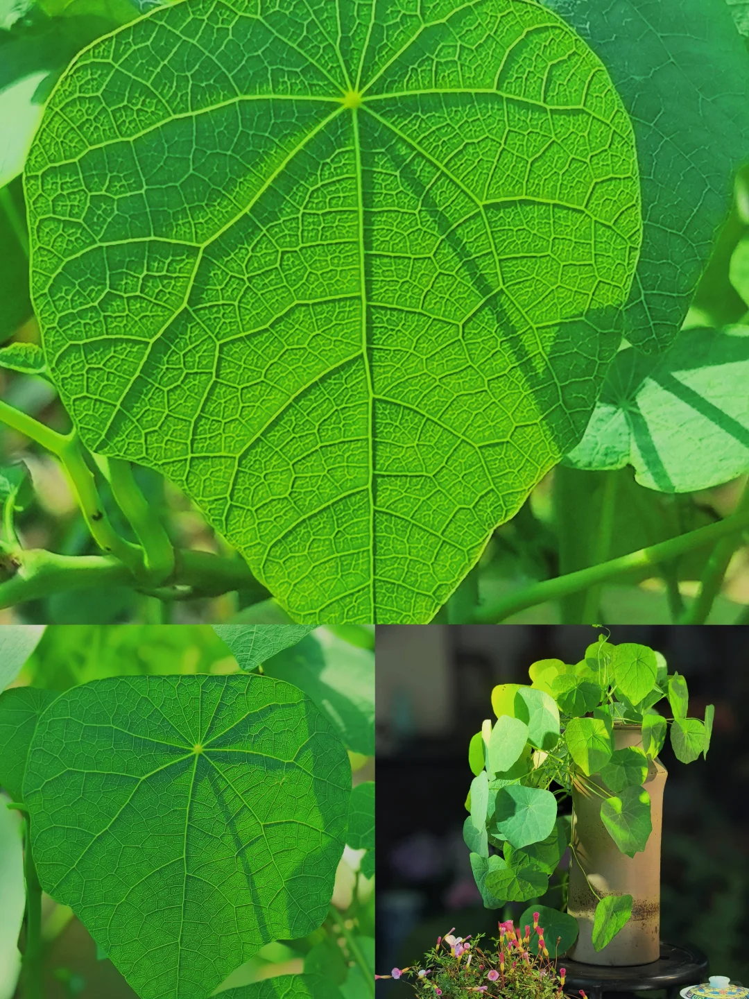 “没有一点点艺术细胞，还真的刷不到我”