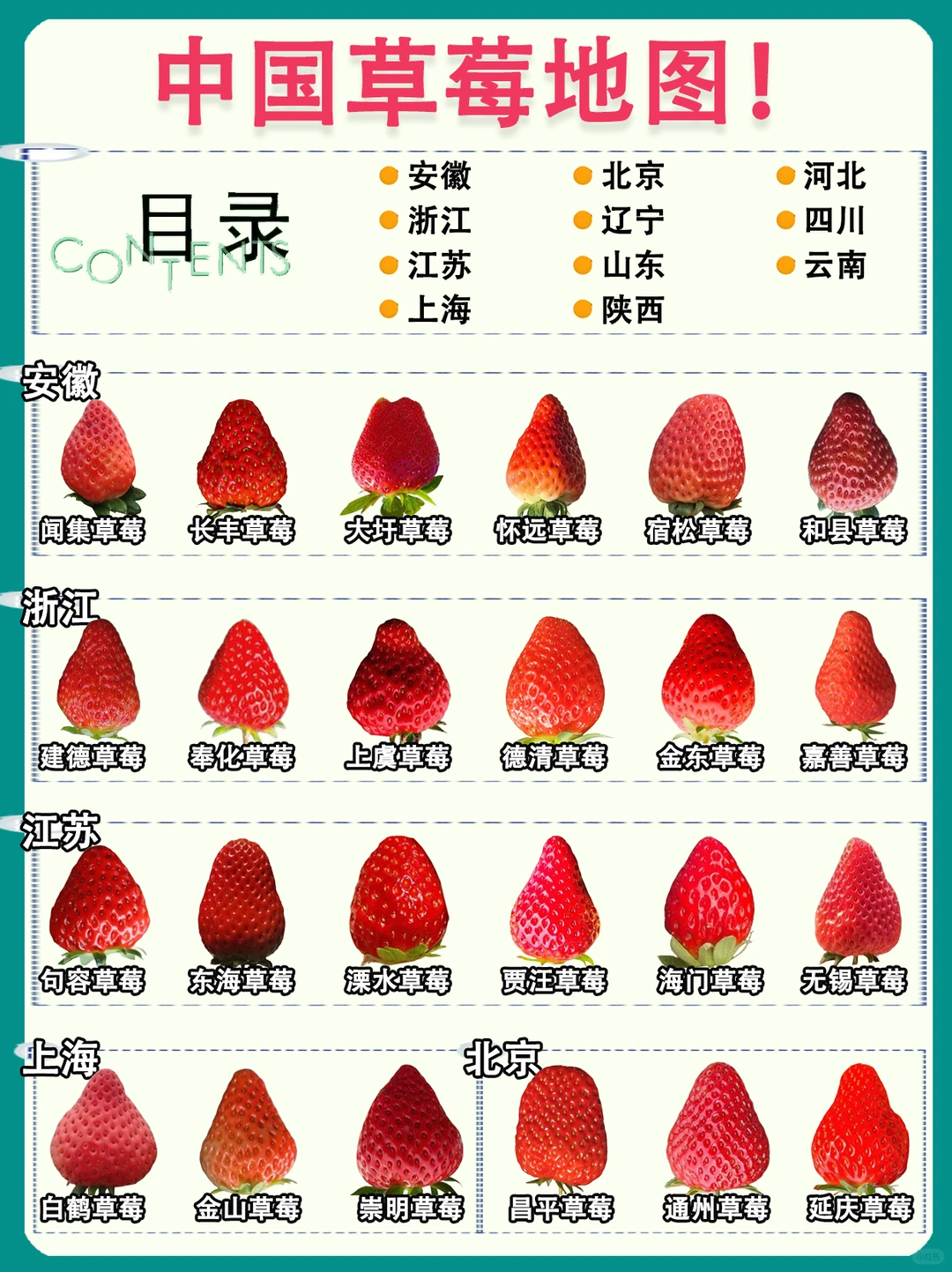 中国草莓地图?️各地草莓天花板盘点！
