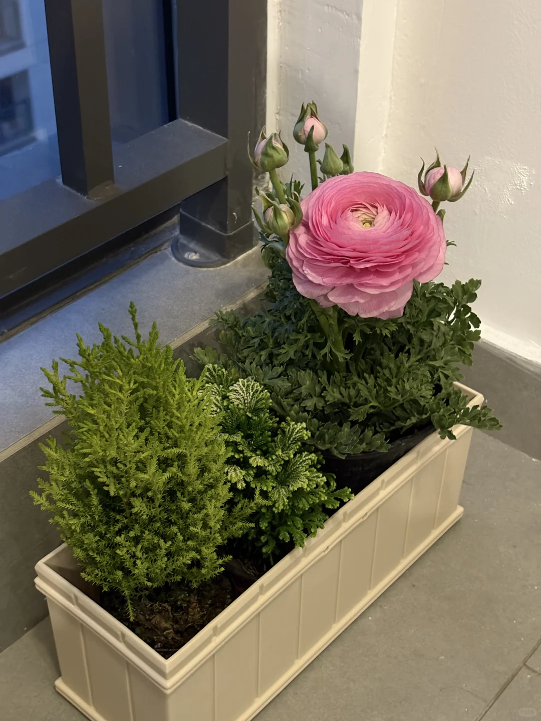 恨不得让全楼的邻居都知道