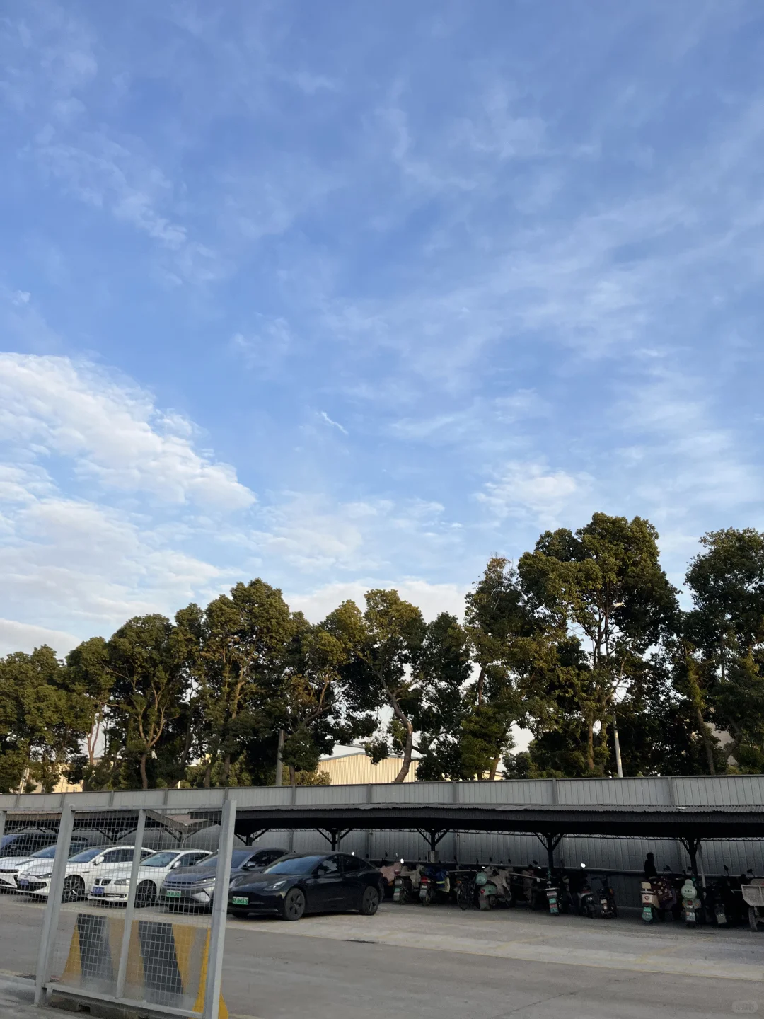 00后毕业女大钢材生卖钢第432天?