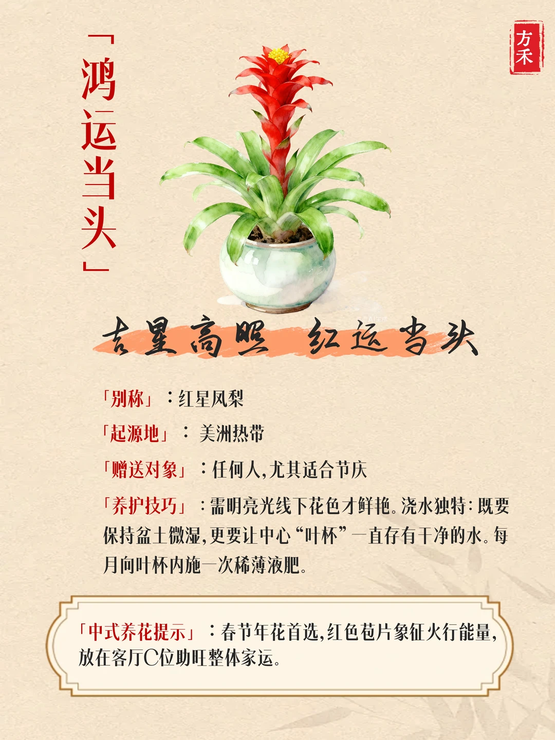 9种花卉藏玄机? 家宅兴旺好运来