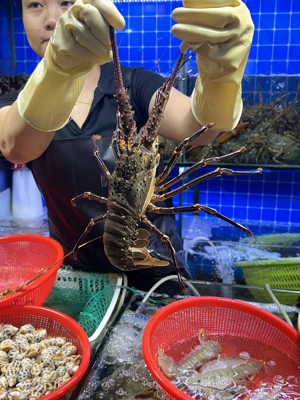 三亚这个菜市场的海鲜也太香了