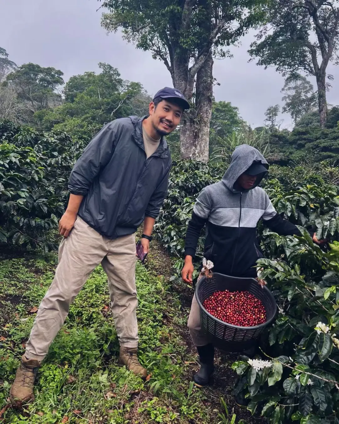报名：云南产区游 | 生豆处理及烘焙综合课