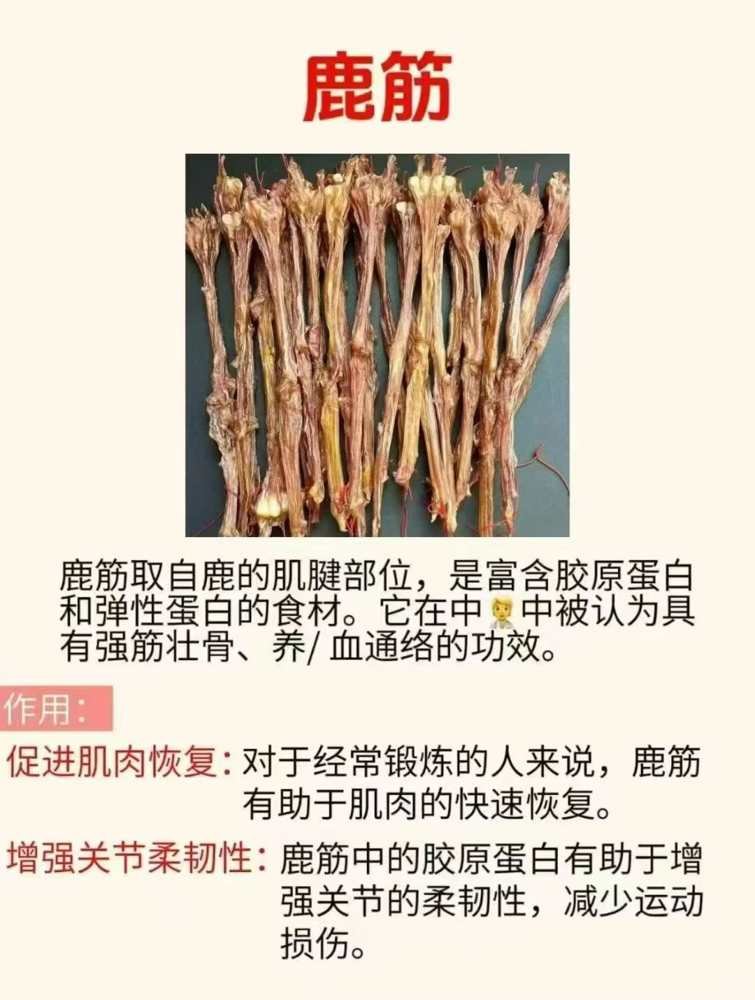 吉林辽源梅花鹿特产