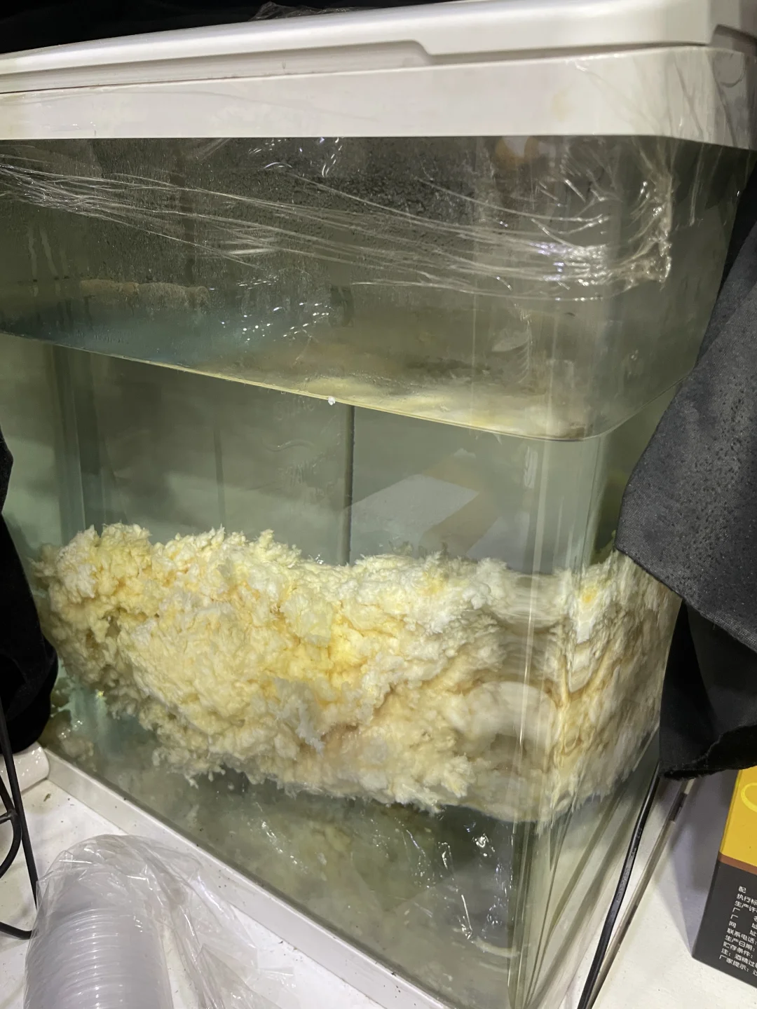 买长白山特产被坑