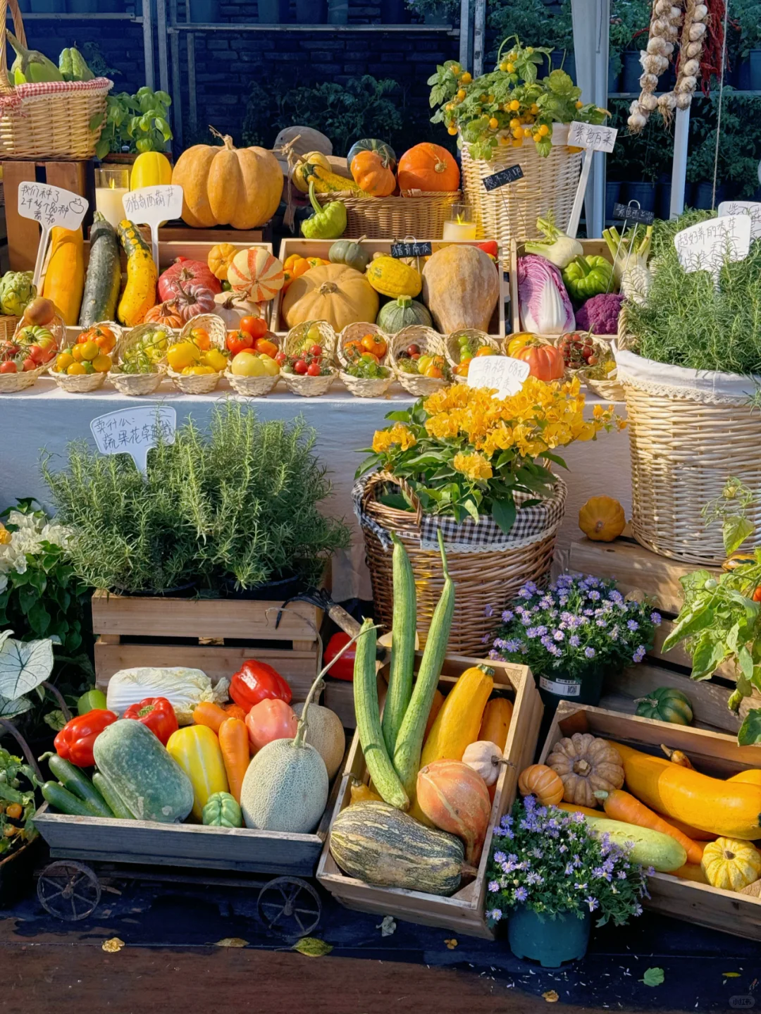 快来找我们玩?苏州本色美术馆