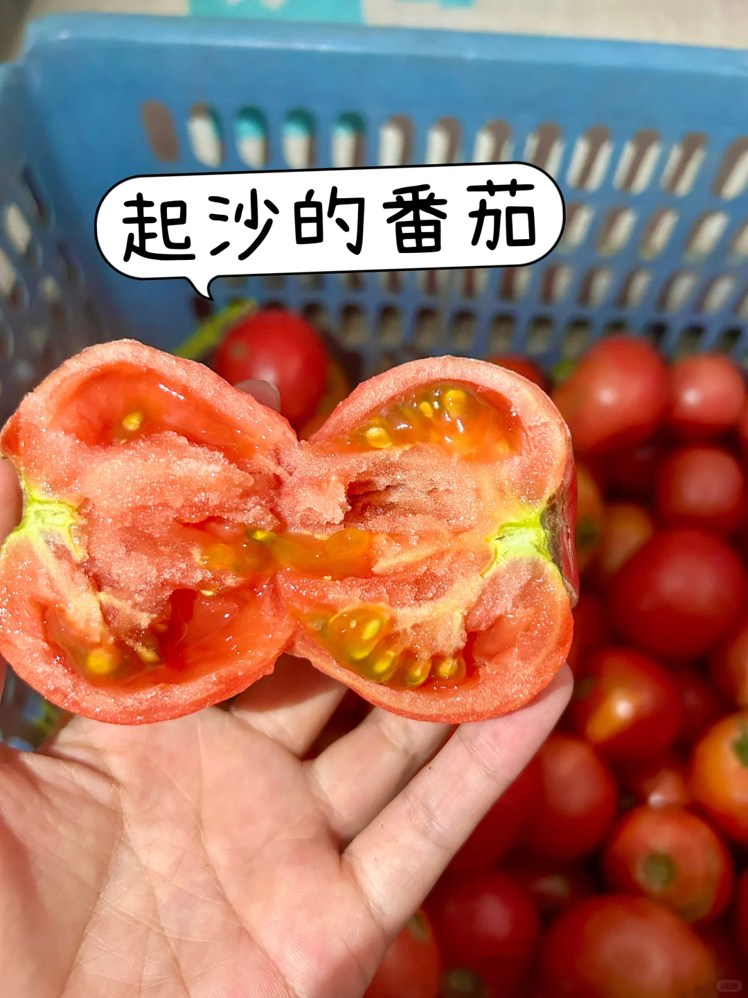 每天10元，给娃吃带泥土味的纯绿色蔬菜