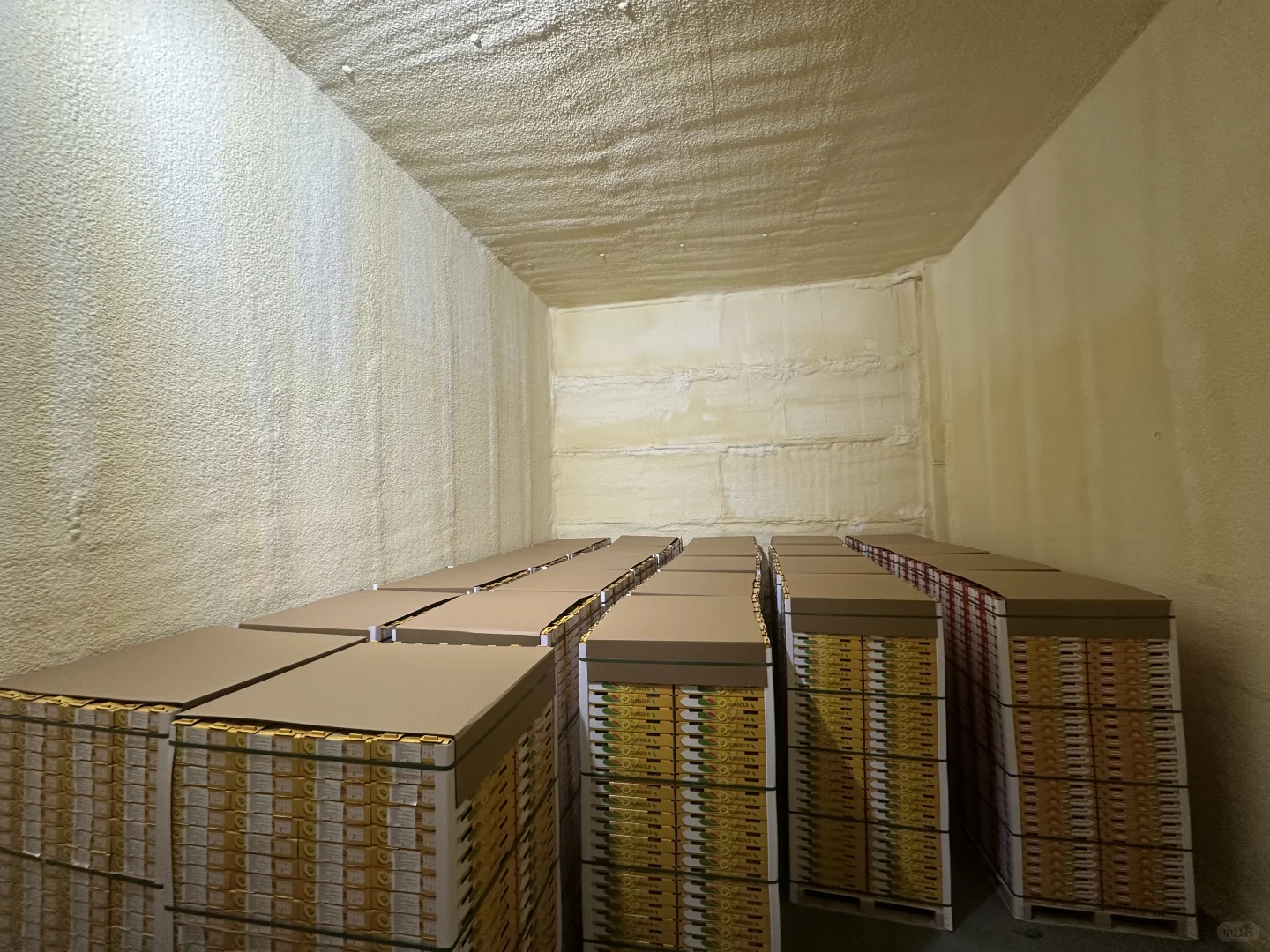 猕猴桃出口加工厂，水果出口