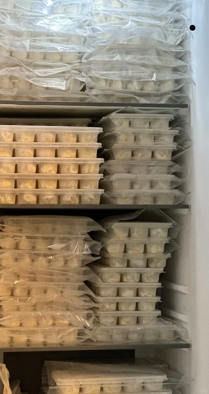 苏黎世本地 小型食品加工厂 酱牛肉