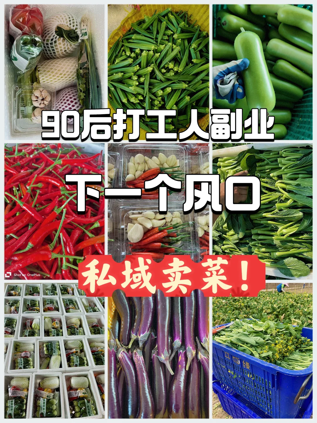 必看！适合一个人不折腾的副业