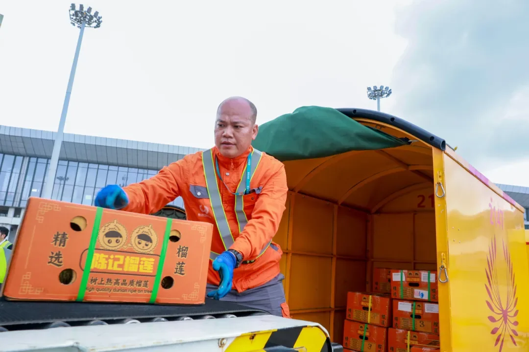 首单！江东新区进境水果指定监管场地业务