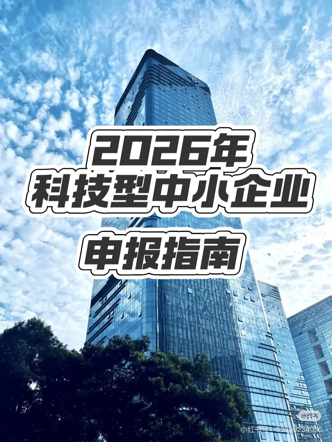 2026年浙江省科技型中小企业申报指南