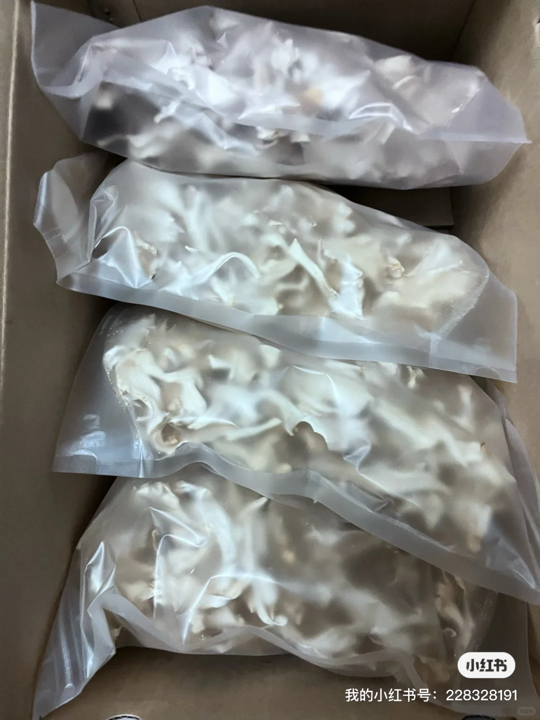 栗树蘑怀柔特产