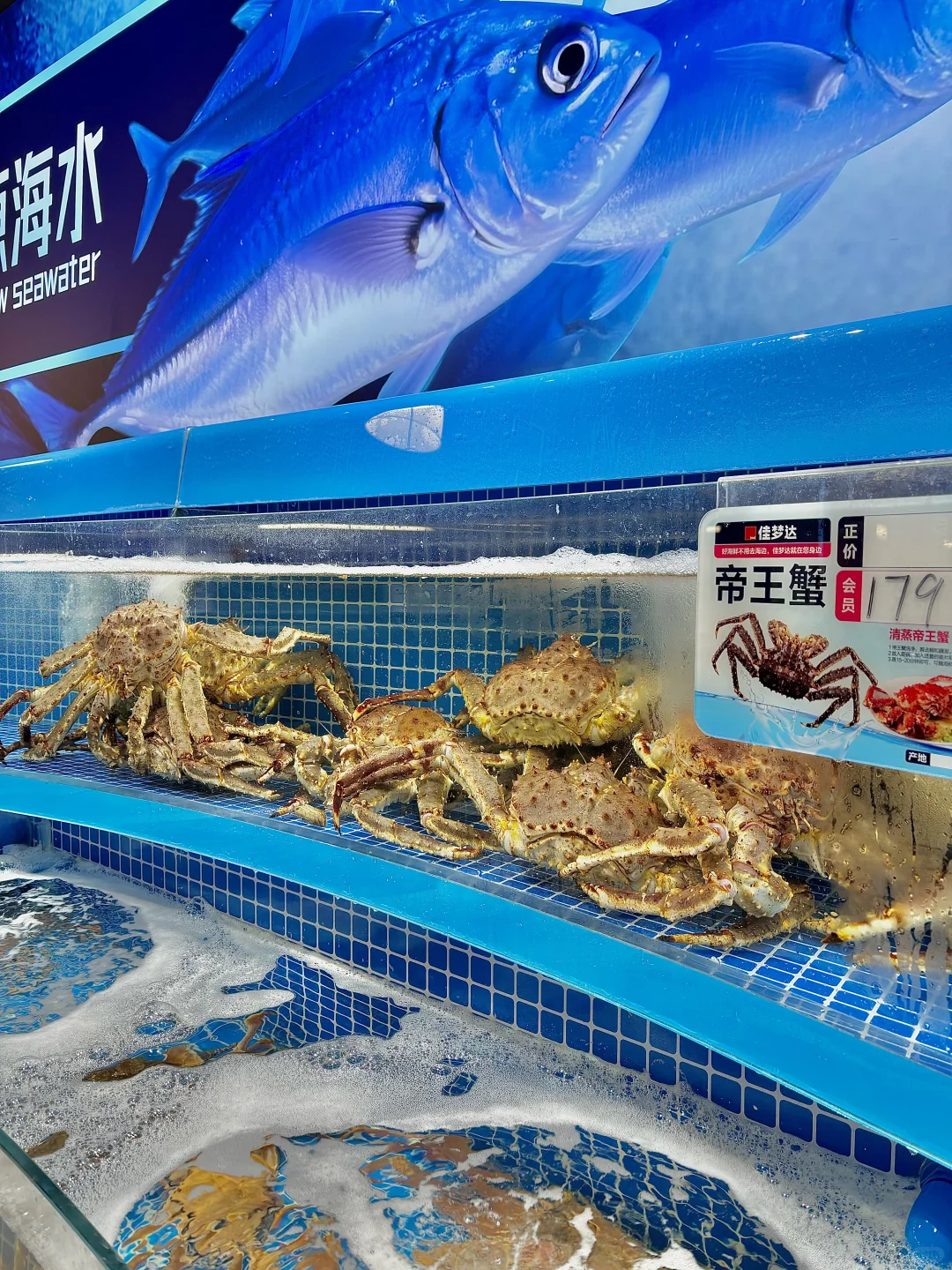 沈阳人速冲！海鲜买完直接免费加工香哭了?