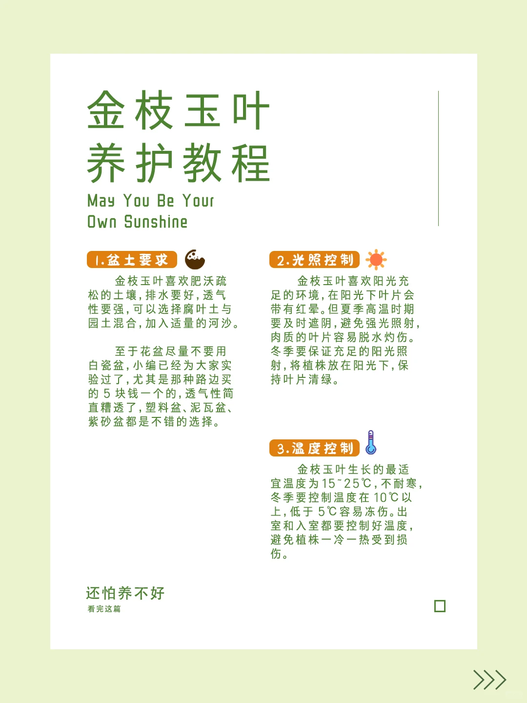 “第三十一期~金枝玉叶~养护秘籍！?”