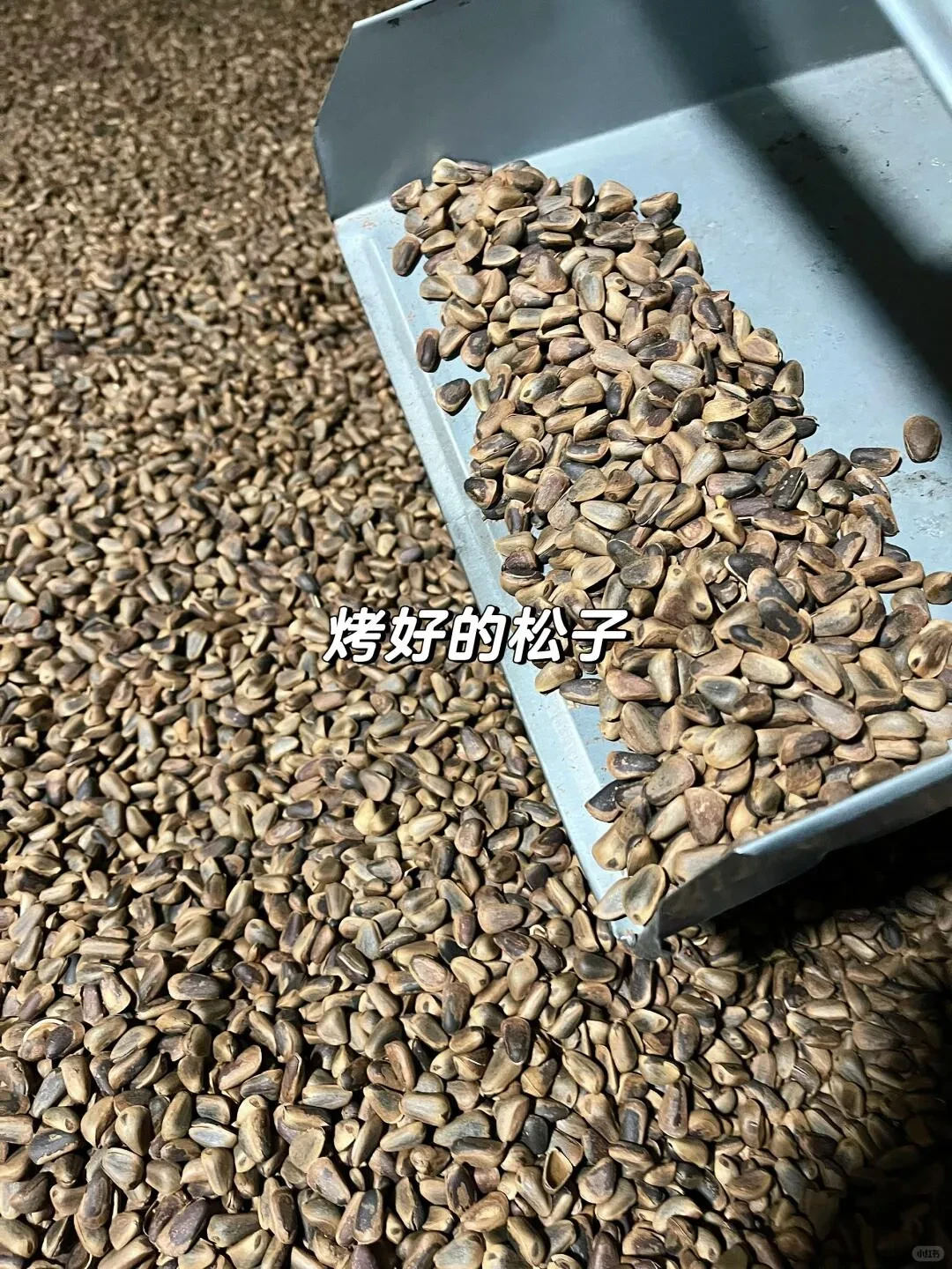 疑似被资本做局…产地真没那么贵