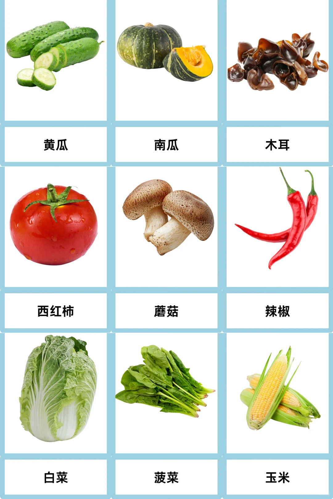?为特教宝贝设计的高清蔬菜认知卡来啦~?
