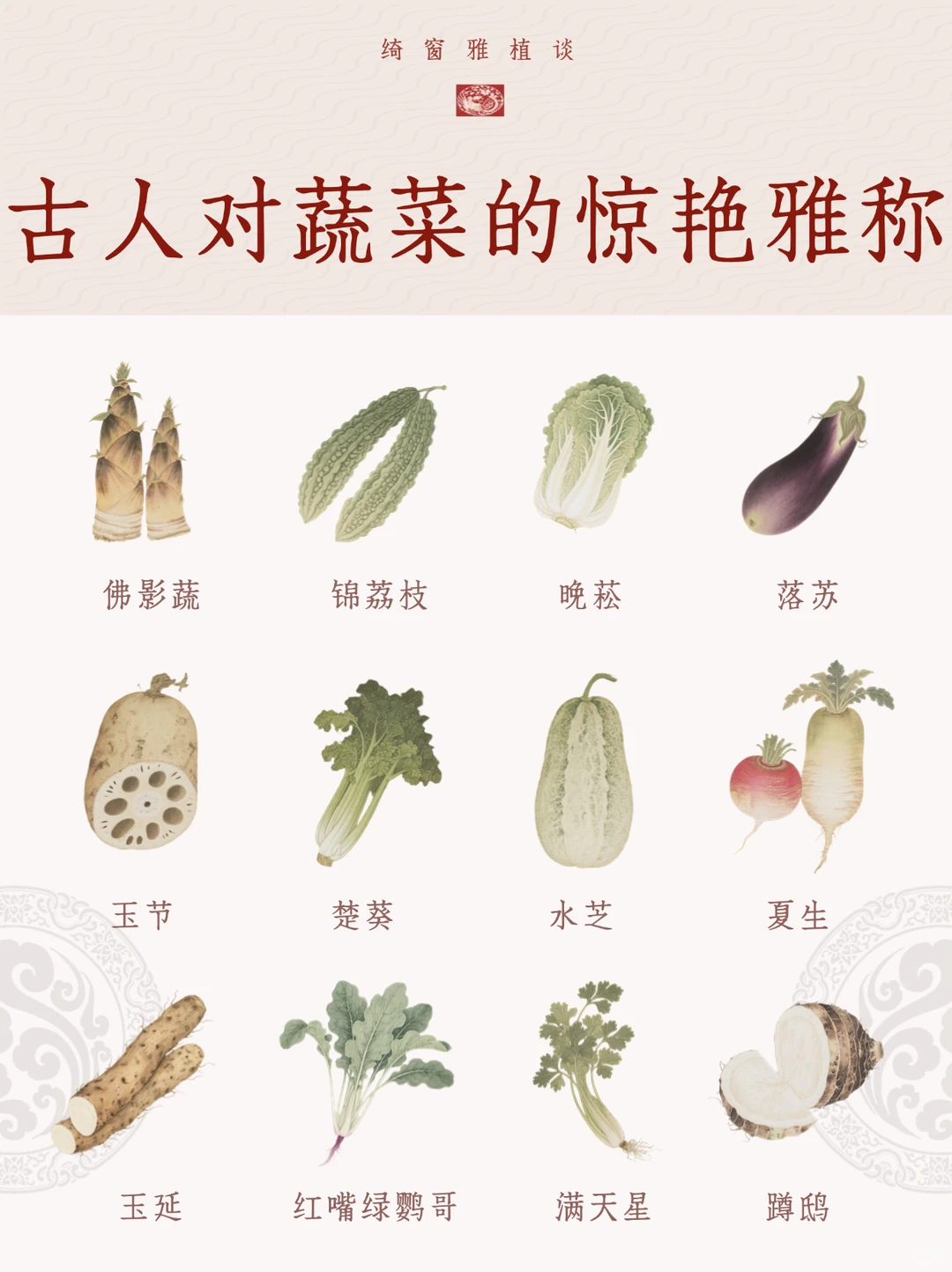 古人对蔬菜的惊艳雅称?