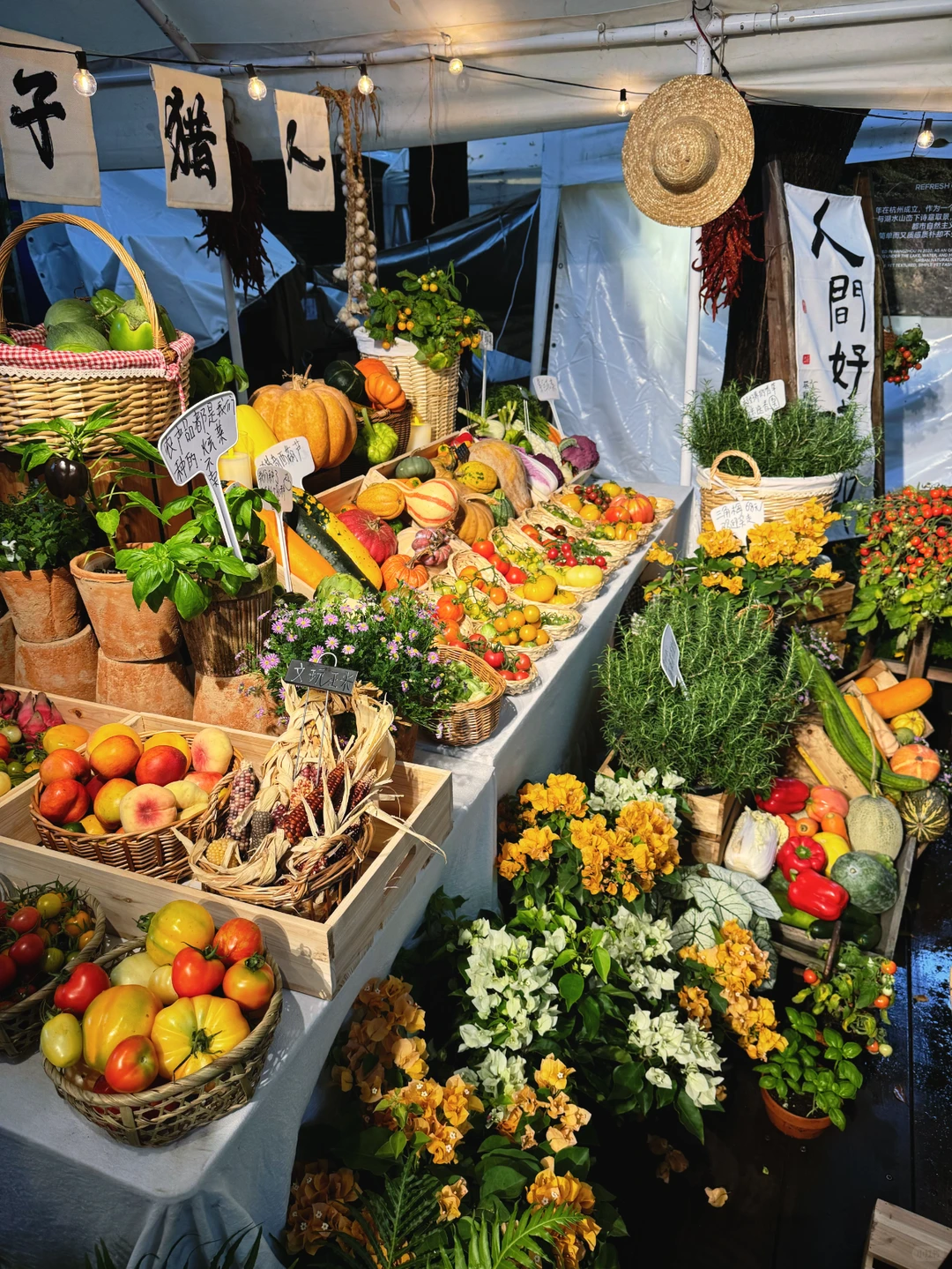 快来找我们玩?苏州本色美术馆