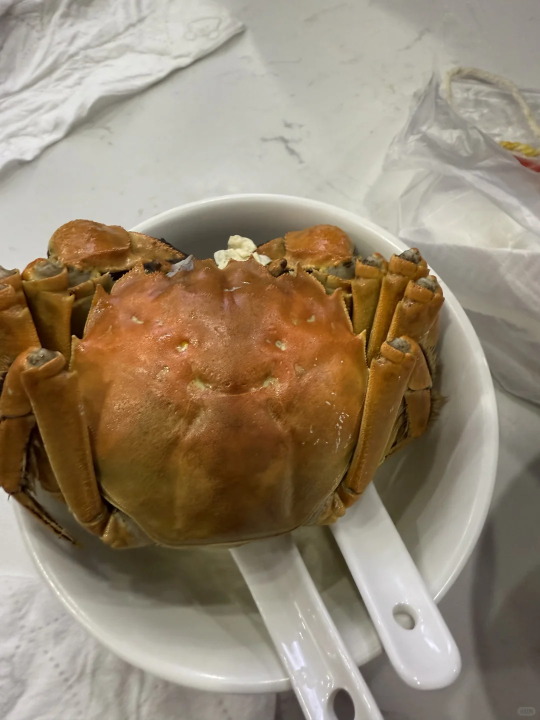 11月在苏州勇闯菜市场吃大闸蟹