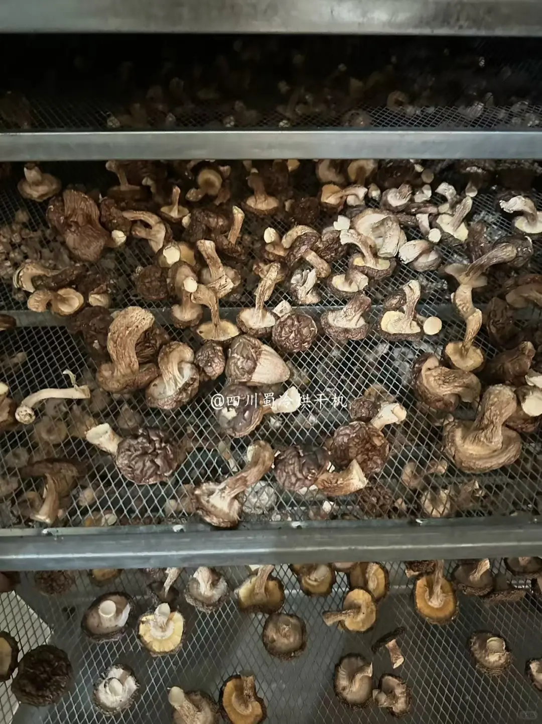 这台烘干机承包果干 / 菌菇 / 药材 / 肉制品