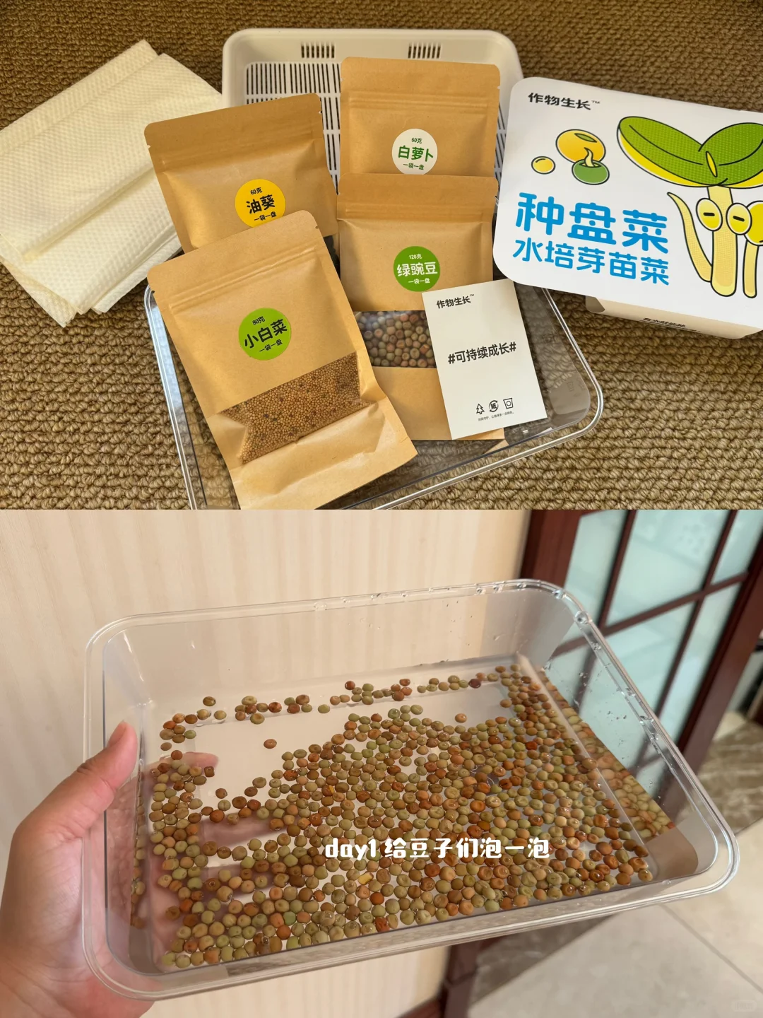 速报❗️刻在DNA里的种菜基因已经觉醒了?