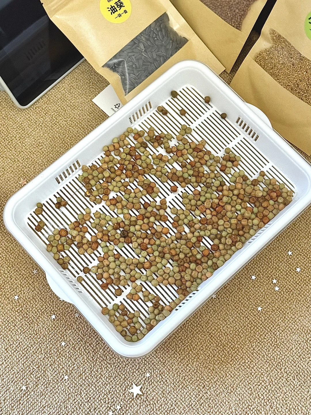 种菜的治愈时刻