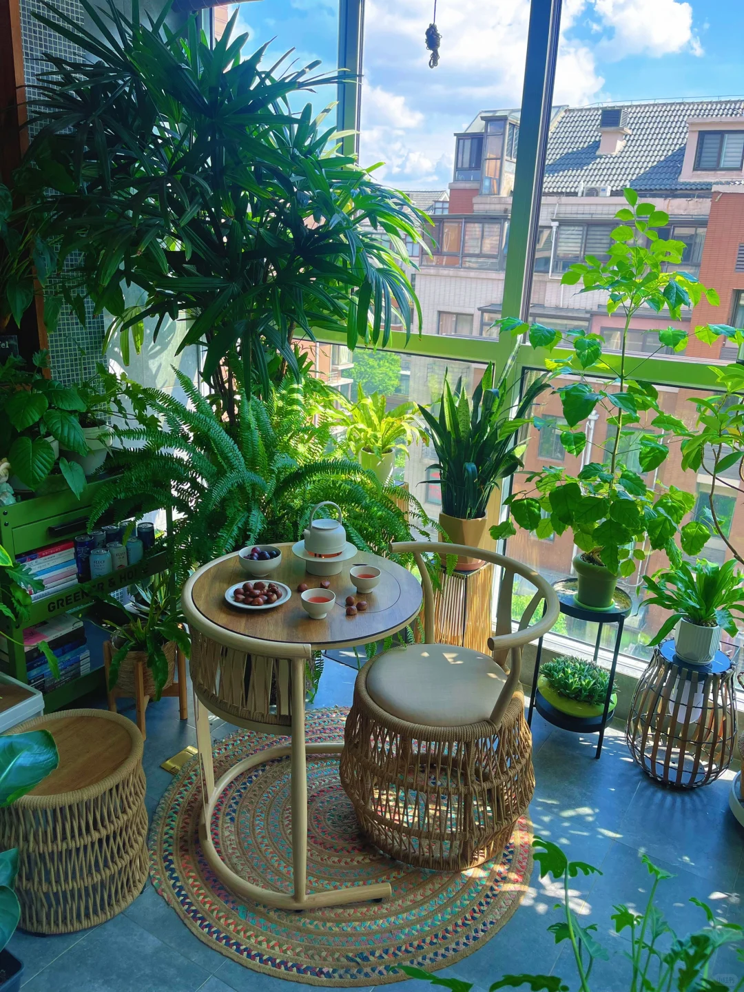 9m²小森林｜跟大家聊聊我家阳台的植物选择