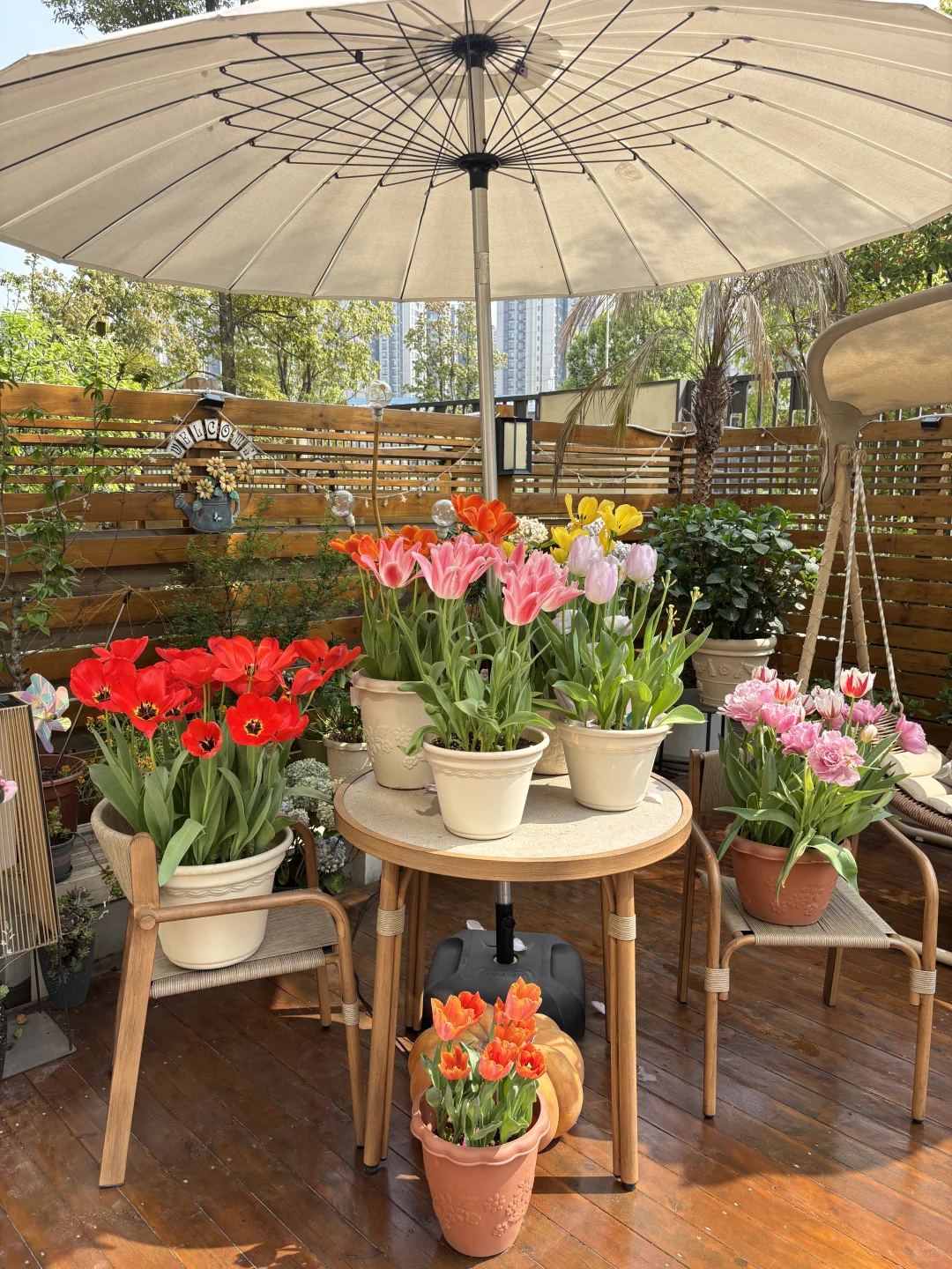 讲真，有这样的院子我能呆1年不出门！?